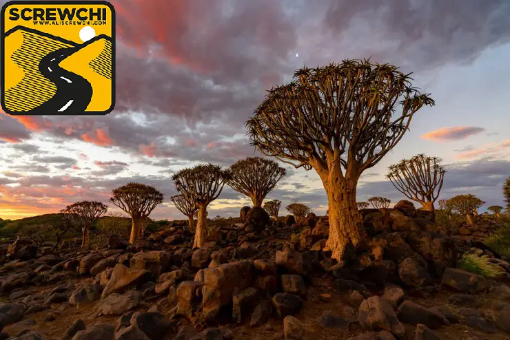 آفریقای جنوبی